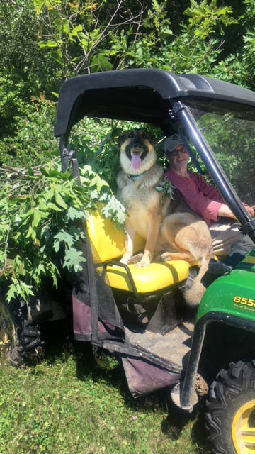 The Farm Dog, Pip