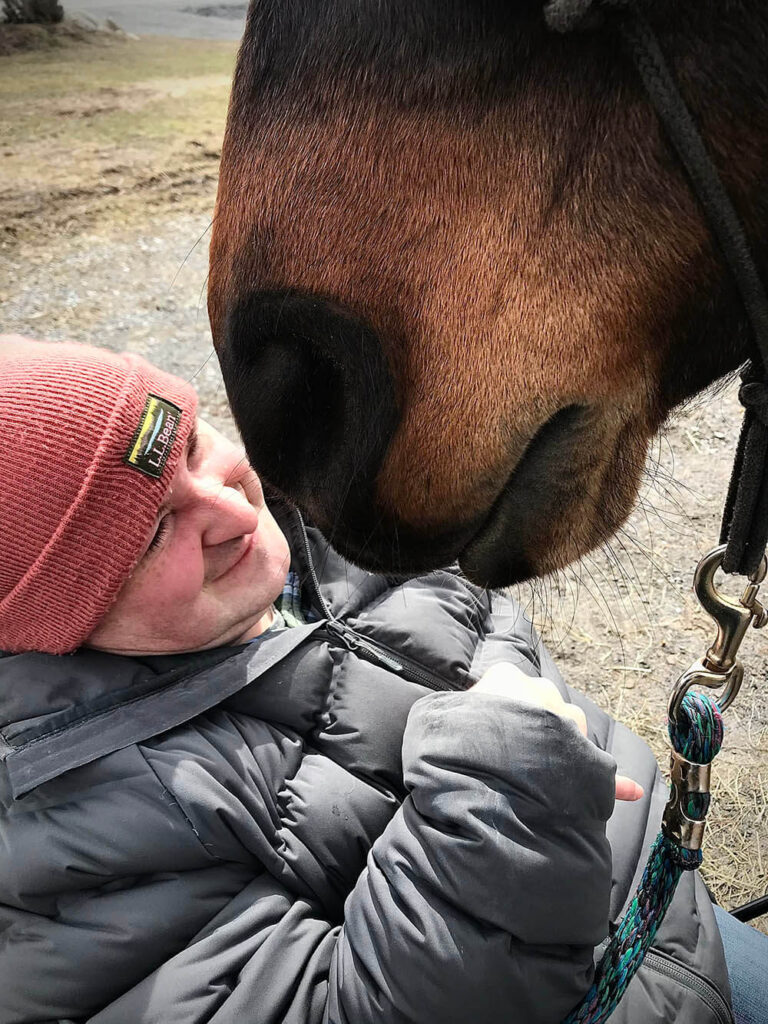 A horse snuggling a visitor