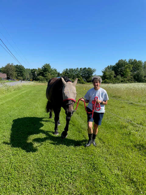 A woman strolling across a field on the farm with a horse